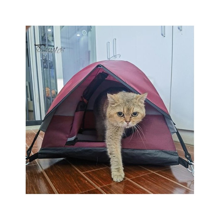 Mini-Katzenzelt, zusammenklappbares Katzenhaus, tragbares kleines Zelt, Haustierhöhle, Nest für den Außenbereich, wasserdicht