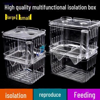 XL Acryl Guppy Zuchtbox: Isolations- und Laichbecken für Jungfische Small isolation box