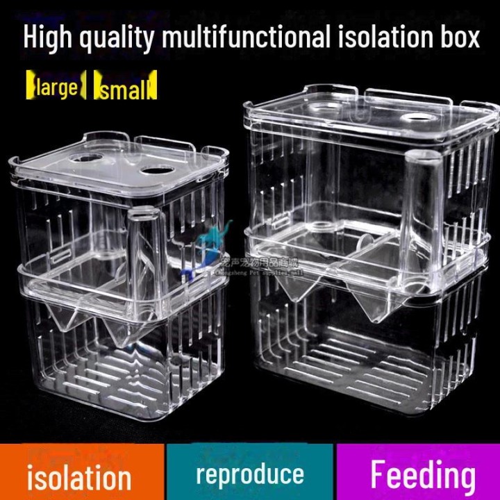 XL Acryl Guppy Zuchtbox: Isolations- und Laichbecken für Jungfische Small isolation box