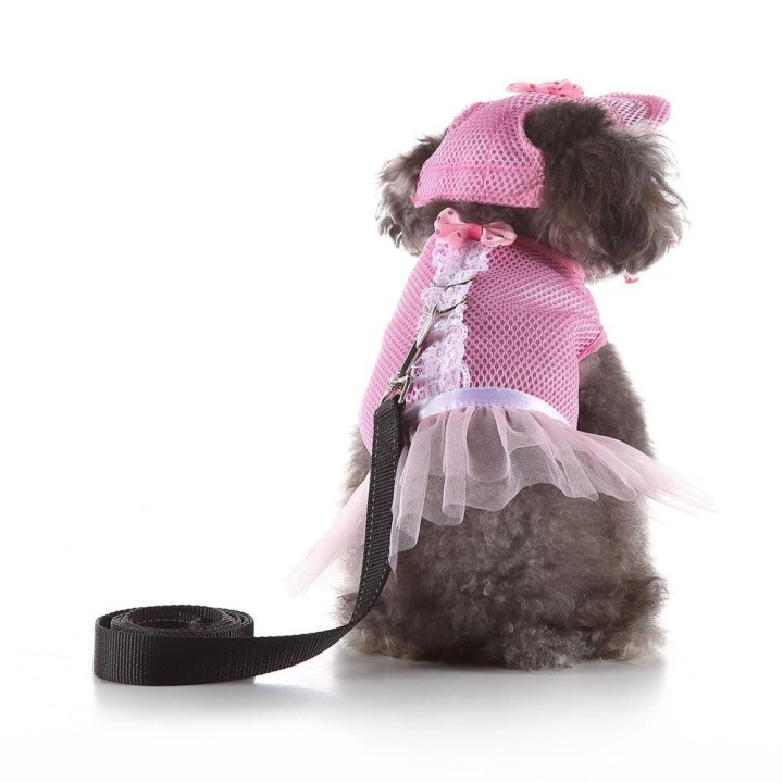 Kariertes reflektierendes Hundegeschirr: Atmungsaktive, explosionsgeschützte Weste für kleine bis mittelgroße Hunde mit Zugse