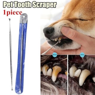 1 Stück Hund Zahnreiniger Zahnstein Entferner Schaber Kit Edelstahl Hund Mundreinigungswerkzeug