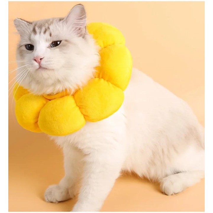 Sonnenblumen-Katzenhalsband, elisabethanisches Katzenhalsband, Anti-Leck- und Kratzschutz, Haustier-Kätzchenhalsband, Kätzche