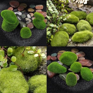 Marimo Moss Balls Kunstrasen Stein Turf Mini Fairy Garden Micro Terrarium S