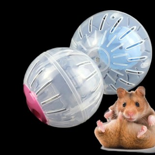 Haustier Laufball Kunststoff Grounder Jogging Hamster Haustier Kleine Übung Spielzeug blau