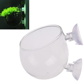 Aquarium Mini Kristall Glas Topf Wasser Topf Aquatische Pflanzen Zylinder Tasse one size