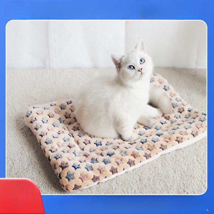 Haustierdecke, Matte, Hundehütte, Katzenhütte, vier Jahreszeiten, universell, Korallensamt, groß und klein, warm S 50*30