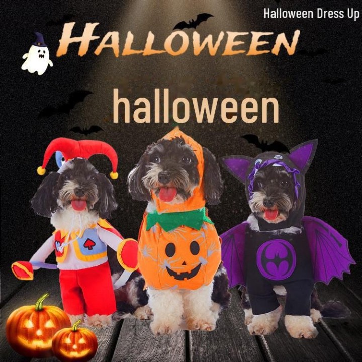 Grenzüberschreitende neue Haustierkleidung: Lustiges Thor-Halloweenkostüm für Hunde – Teddy & Schnauzer Small
