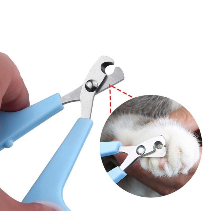 1 Stück Haustier-Nagelknipser aus Edelstahl für Reinigungsmittel für Haustiere blau