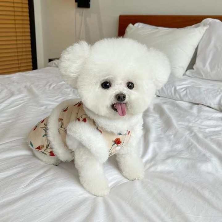 Haustier-Plüschweste mit Blumenmuster, Herbst und Winter, neues Plüsch-Blumenkleid für das neue Jahr, Teddybär, Hund, Katze,