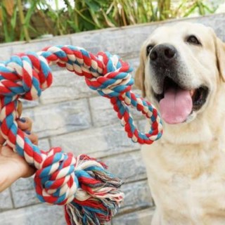 Großes kaufestes Hundespielzeug mit Baumwollknoten zum Zahnen und interaktiven Training Large 64cm-400g