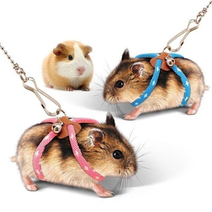 Einstellbare Kleine Haustier Hamster Leine Harness Set Mit Glocken Frettchen Zugseil rosa