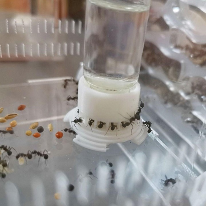 Ameisenfarm, Wasserfütterungsbereich, Wasserschale für Ameisen, Ameisenhaufen, Ameisennest, Wasserzufuhr mit großer Kapazität