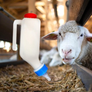 Kälbermilchflasche mit Sauger Schaf Lamm Flaschenhalter 500ml 500ml 12cm