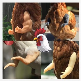 Hühnerarm-Dekoration, Hühner-Vordergliedmaßen-Dekor, Dinosaurier-Parodie, Haustier-Requisiten, Hühnerarm, Hulk-Arme, Hühner-M