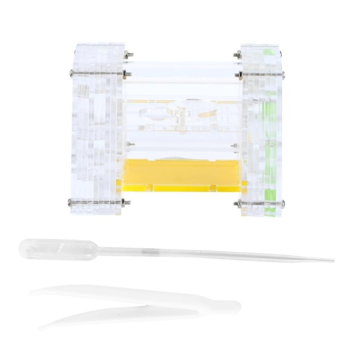 Acryl Transparent Ant Fütterung Lebenden Nest Bauernhof Insekten Feuchtigkeitsspendende Fall Gehäuse Hause