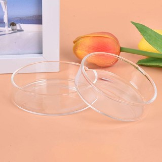 Klarglas Garnelen Fütterung Lebensmittel Gericht Feeder Tablett Runde Aquarium Fütterung Schalen 1