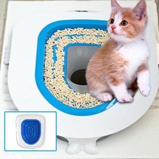 Katzentoiletten-Trainingsset, Kunststoff-Sandkastenmatte, Katzentrainer, Katzentoiletten-Reinigung blau