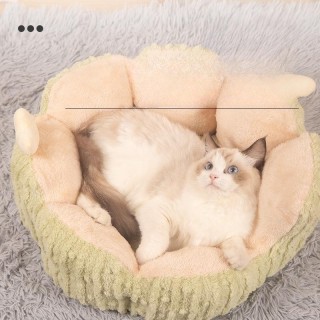 Kaktus-Katzenhütte, warmer Winter-Haustierzwinger, Ganzjahres-Hundezwinger, halbgeschlossene Katzenhütte, Katzenhaus M