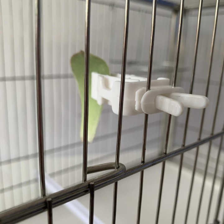 3 Pcs Niedlichen Kleinen Haustier Vogelfutter Halter Papagei Obst Gemüse Clip Tintenfisch Knochen Feeder Gerät Clamp Vogel Kä