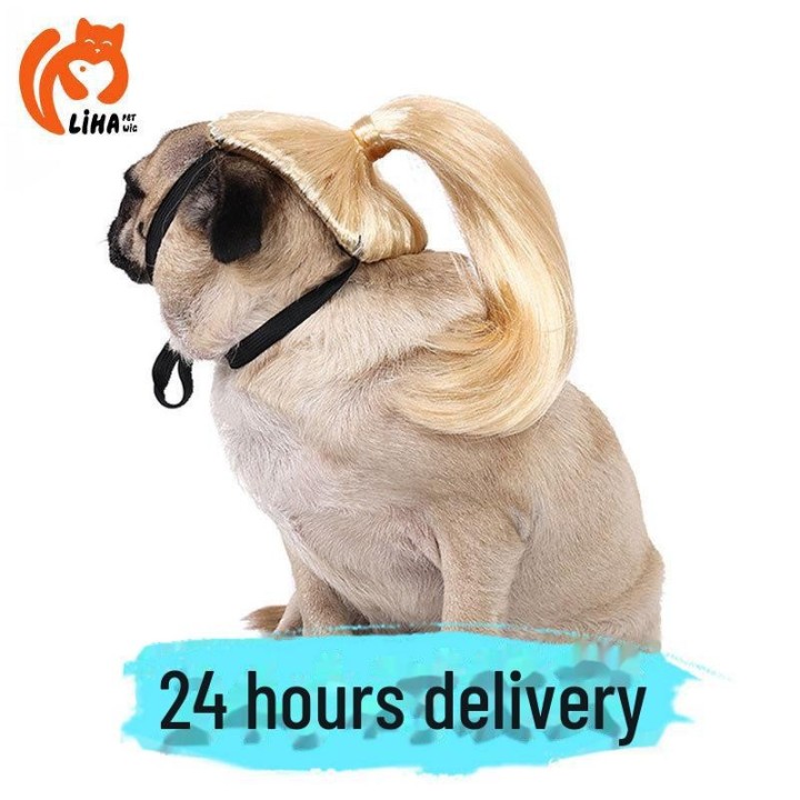 Verschiedene Auswahlmöglichkeiten von Haustierperücken Waren, die Sie suchen, sind alle hier mit 12 verschiedenen Warenkatego