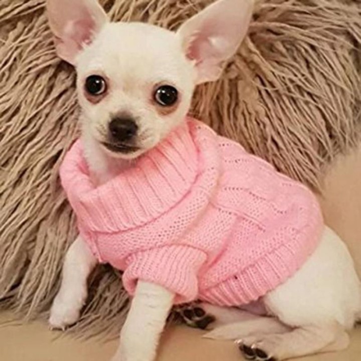 Haustier Katze Welpen Pullover Kleidung Jacke Mantel Hund für kleine Hunde Winter Chihuahua XS rosa