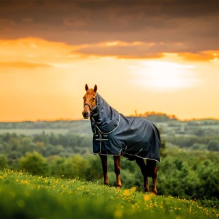 Horseware Amigo Ripstop 900D Plus Pony Turnout 0g