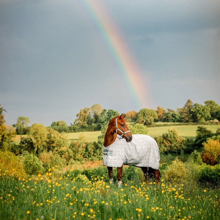 Horseware Newmarket Fly Sheet