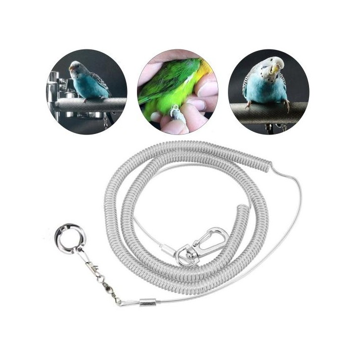 Flexible Vogelleine, elastisch, ausgezeichnetes Traktionsgeschirr für Papageien 15 3 m