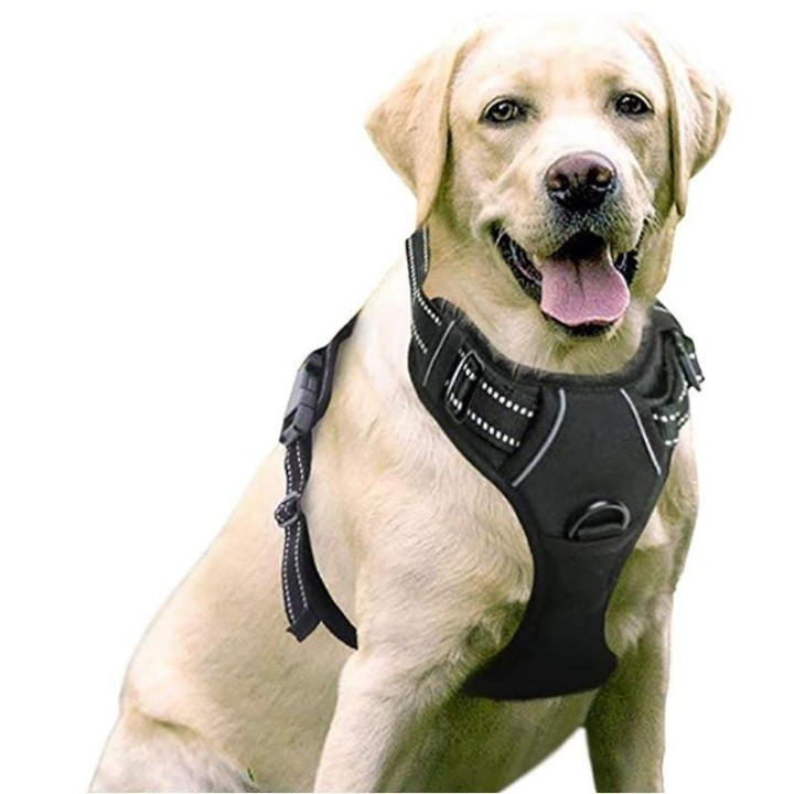 Neu Keine Ziehen Hund Harness Pet Reflektierende Nylon Einstellbar Medium Große Freche Hund Weste Sicherheit Fahrzeug Blei Ge