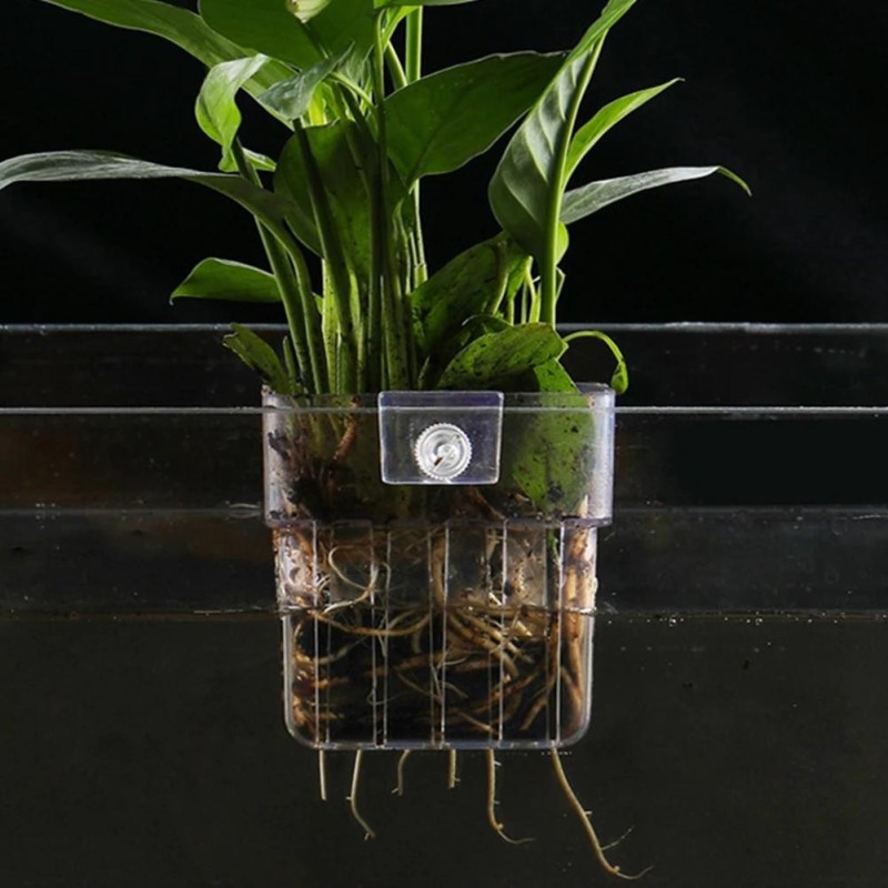 Aquarium Pflanzenkorb Transparent Fisch Tank Hängende Dekorationen Topf Wasserpflanzen Halter Wasserpflanzen Tasse Fisch Tank