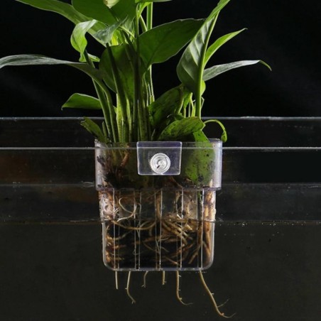 Aquarium Pflanzenkorb Transparent Fisch Tank Hängende Dekorationen Topf Wasserpflanzen Halter Wasserpflanzen Tasse Fisch Tank