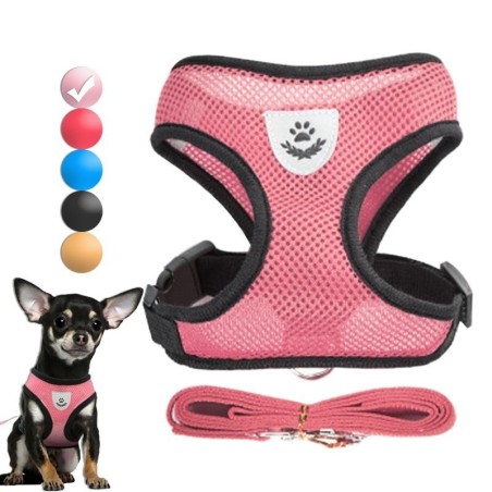 Hundegeschirr für kleine Hunde und Katzen, verstellbares Haustiergeschirr und Leine, Set mit atmungsaktiver Weste für Mops, C