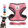 Hundegeschirr für kleine Hunde und Katzen, verstellbares Haustiergeschirr und Leine, Set mit atmungsaktiver Weste für Mops, C