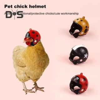 Hühnerhelm, Sicherheitshelm für Hühner, Vögel, Schutzhelm, Papagei, Kopfbedeckung, Mini-Hühnerkostüm, Zubehör für kleine Haus