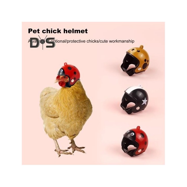 Hühnerhelm, Sicherheitshelm für Hühner, Vögel, Schutzhelm, Papagei, Kopfbedeckung, Mini-Hühnerkostüm, Zubehör für kleine Haus