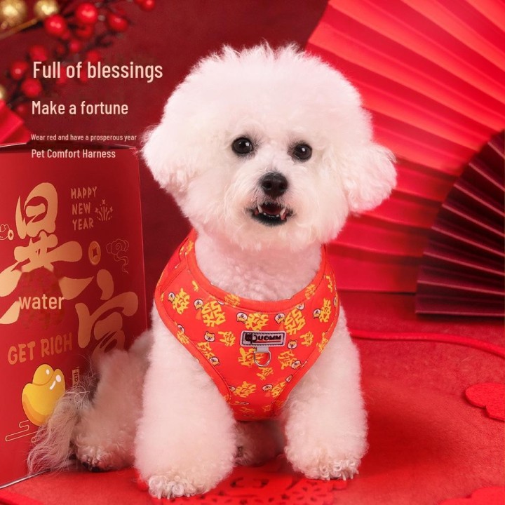 Festliches Hundegeschirr und Hundeleine für den Frühling zum Neujahr – Brustgeschirr für Bichon und Welpen mit Zugseil zum Sp