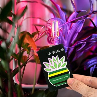 Sonnenlicht Strahlung Sensor Karte Reptil Sonnenlicht Strahlung Lampe Schnell Test Karte Über 500 Mal Einfache Messungen Test