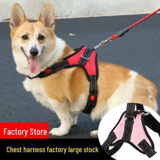 Brustgeschirr und Leine für Hunde zum Spazierengehen hellrosa