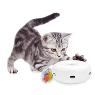 Best Answer Elektrischer automatischer Katzenball, intelligentes Katzenspielzeug, elektrischer Katzenball, Federkatze, Hausti