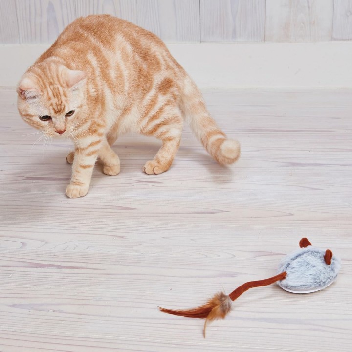 Petio Katzenspielzeug Wild Mouse Robot Mouse Max Selbstfahrend