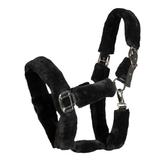 Back on Track Audrey Halfter