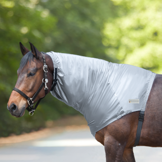 Waldhausen Ekzemer Halsteil - silbergrau