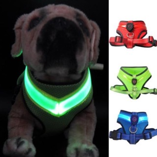 Haustier LED Geschirr Hohe Helligkeit Verschleiß Beständig Mesh Stoff Medium Hund LED Wiederaufladbare L blau