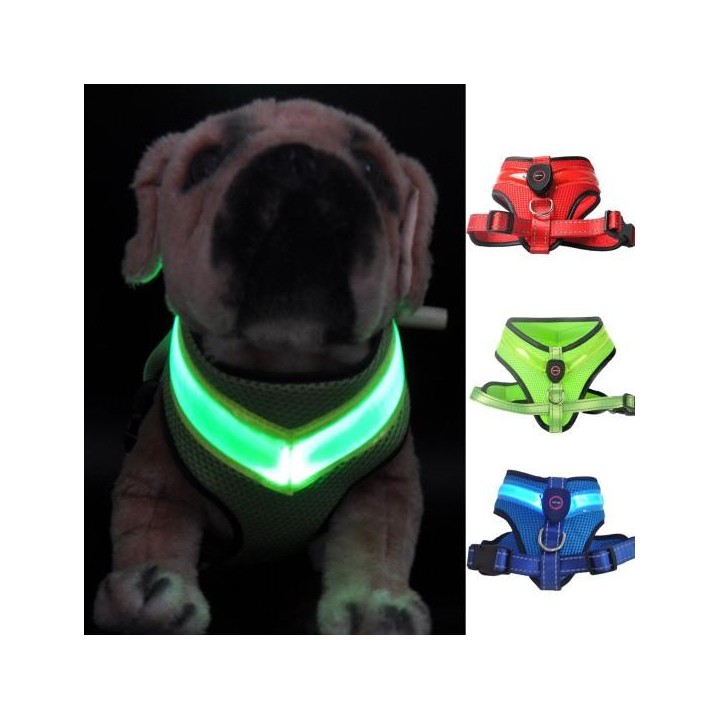 Haustier LED Geschirr Hohe Helligkeit Verschleiß Beständig Mesh Stoff Medium Hund LED Wiederaufladbare L blau