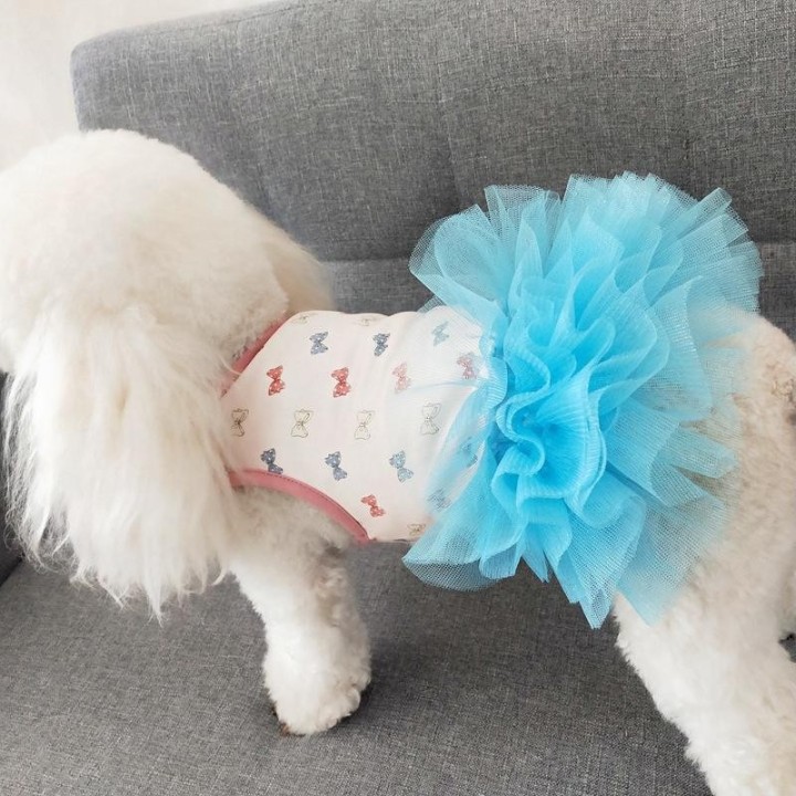 Hot Pet Sommer Tutu Rock Schleife bedruckt Mesh Mode Petticoat Rock kleine Hundekostüm Teddy Sommer zweibeinige Kleidung dünn