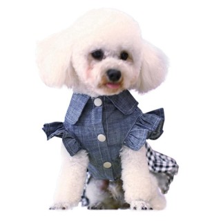 Frühling Haustier Hund Denim Kleid Jeans Rock Hundekleidung Kleines Hundekleid Welpenkleidung Hund Katzenkleider Perritas Kle