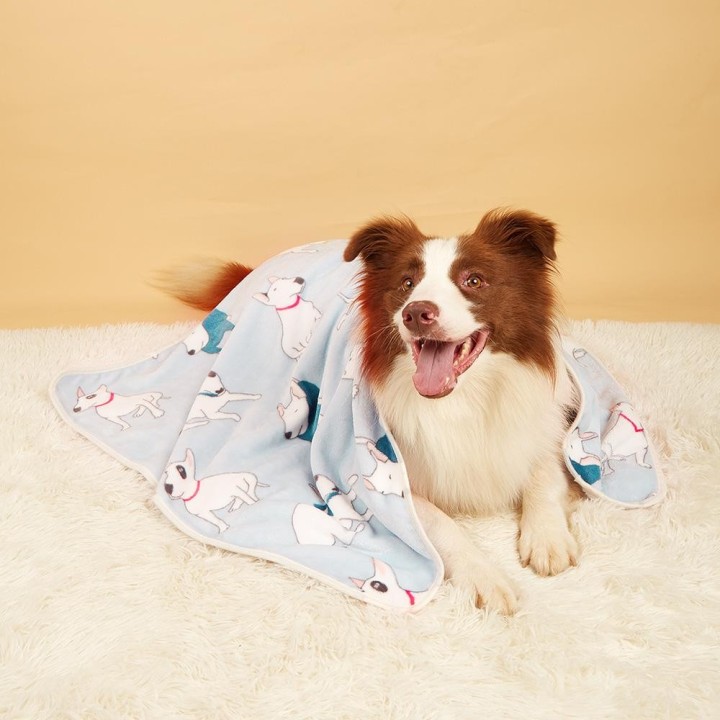 Weiche Haustierdecken für kleine und große Hunde, warm, für den Winter, für Hunde und Katzen, fürs Auto, fürs Sofa, Matte, sü