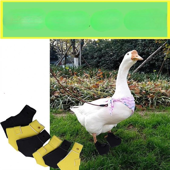 2 stücke Wasserdichte Leichte Haustier Ente Schuhe Casual Walking Booties Schuhe Für Kleine Enten Gänse Outdoor Ente Booties