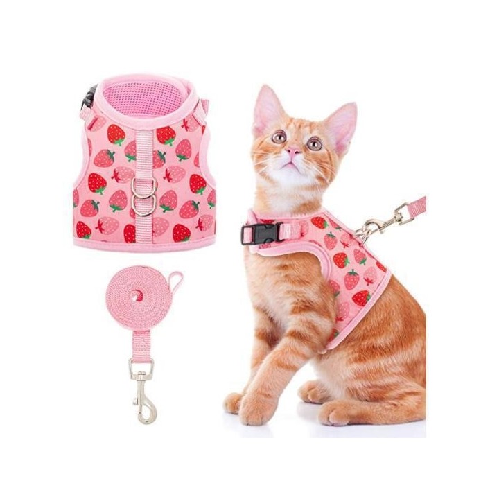 Atmungsaktives Katzengeschirr-Halsband, ausbruchsicheres Haustiergeschirr und Leine, Set mit Brustweste für Kätzchen, Welpen