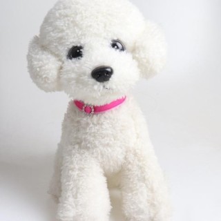 Haustierhalsband, auffällig, verschleißfest, Polyester, mittelgroßes Hunde-/Katzenhalsband, Haustierzubehör B rosa